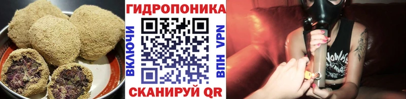 Canna-Cookies марихуана  Кимовск 