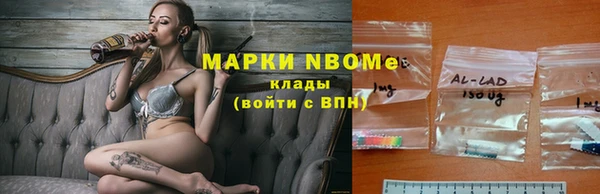 шишки Пролетарск